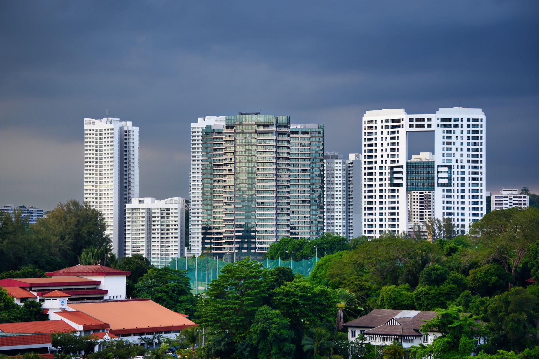 Modern Singapore condominiums rising above lush greenery
